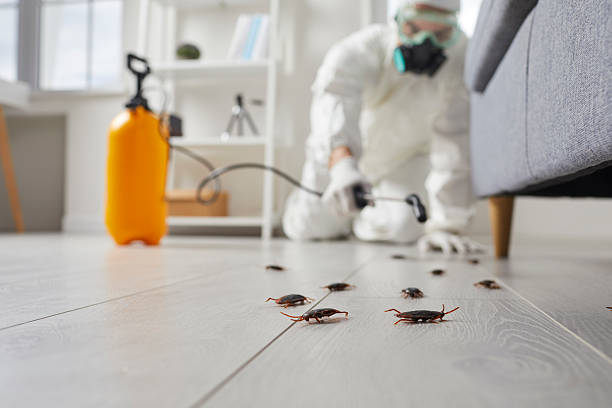 Post-Treatment Bed Bug Interceptor Monitoring in Myers Corner