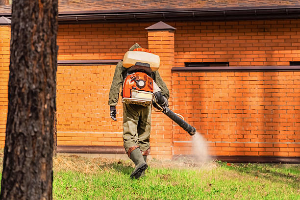Bed Bug Clearance Verification and Documentation in Myers Corner